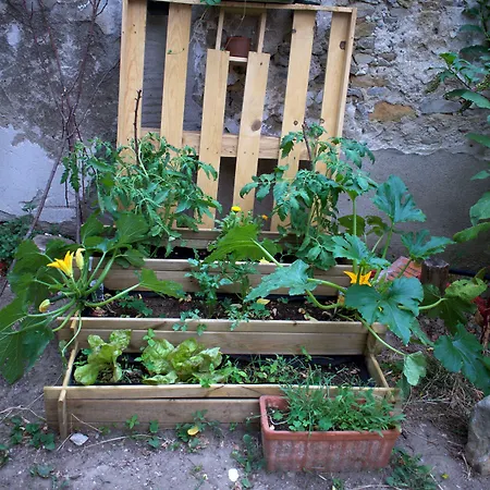 Bed & Breakfast Art Carcassonne