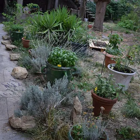 Art ベッド・アンド・ブレックファスト カルカソンヌ