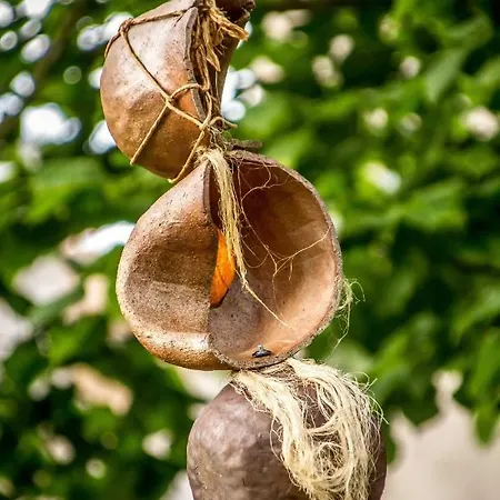 ベッド・アンド・ブレックファスト Art カルカソンヌ